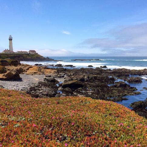 10300221_10154128707450134_9085033414502505414_n